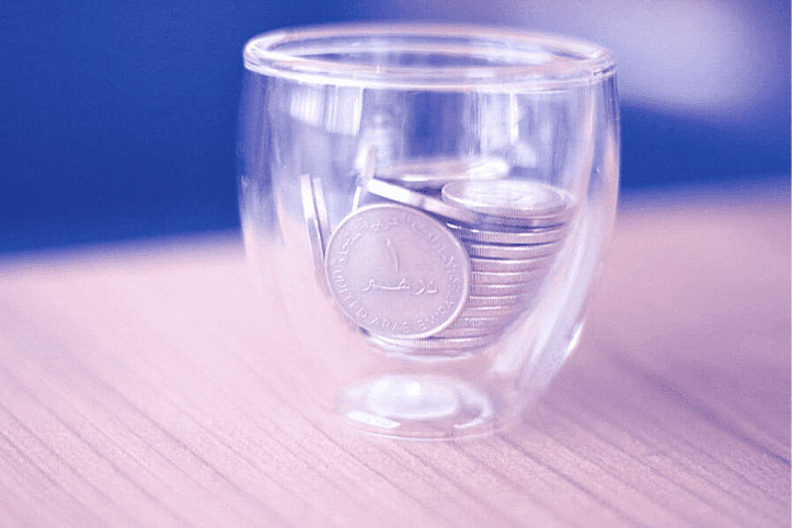 goAML system in the UAE